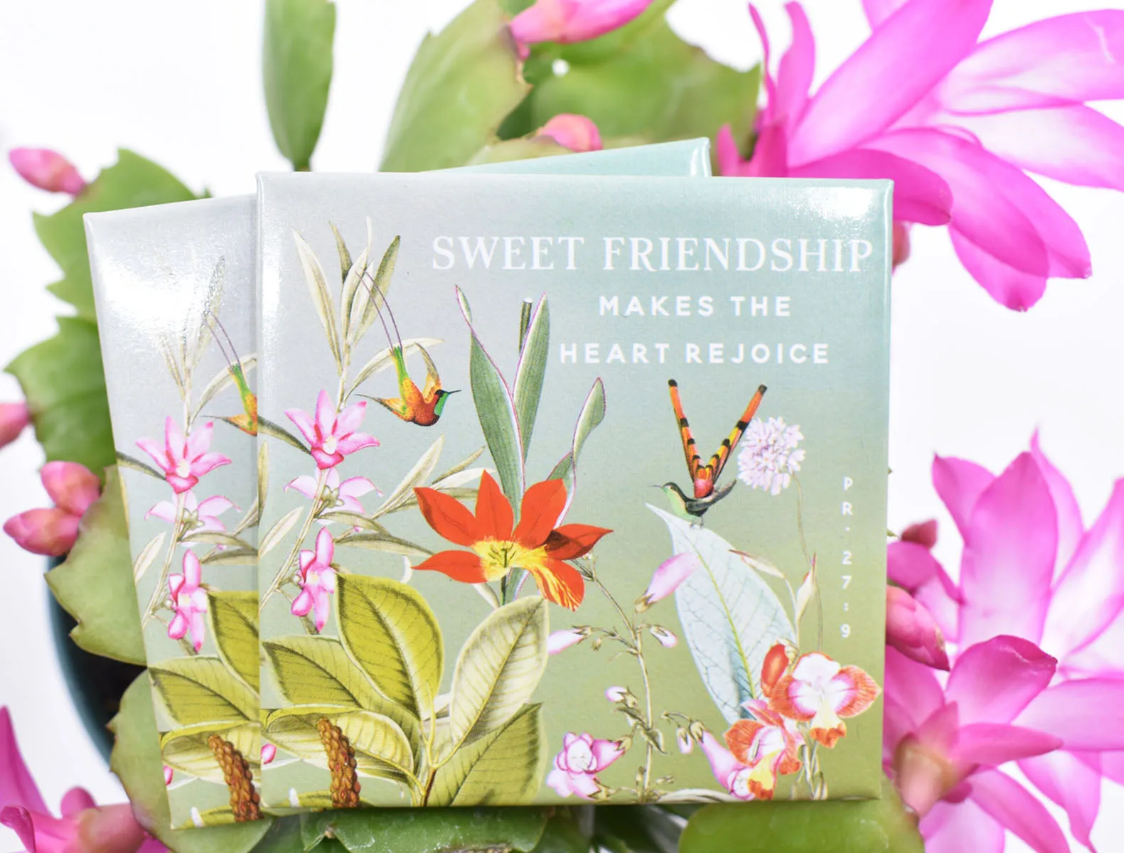 2 Pack : Friendship Botanical Magnets : 50% off