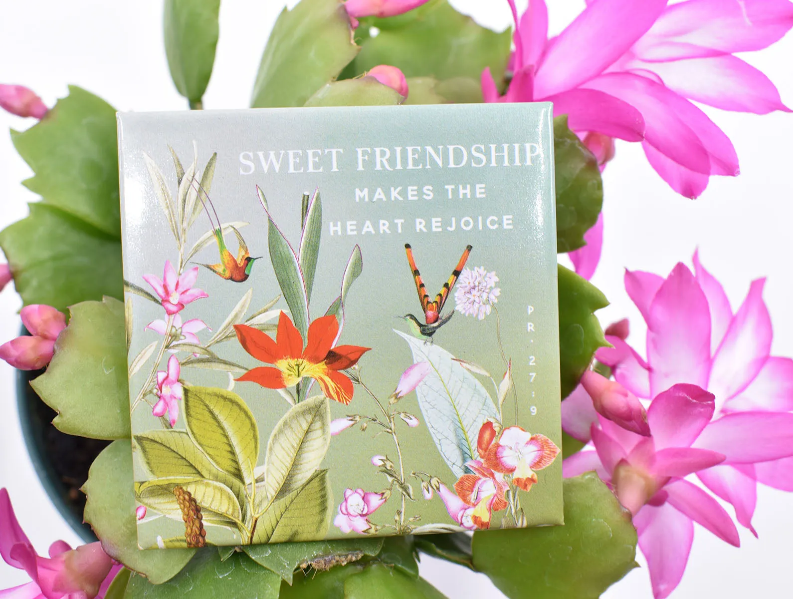 2 Pack : Friendship Botanical Magnets : 50% off