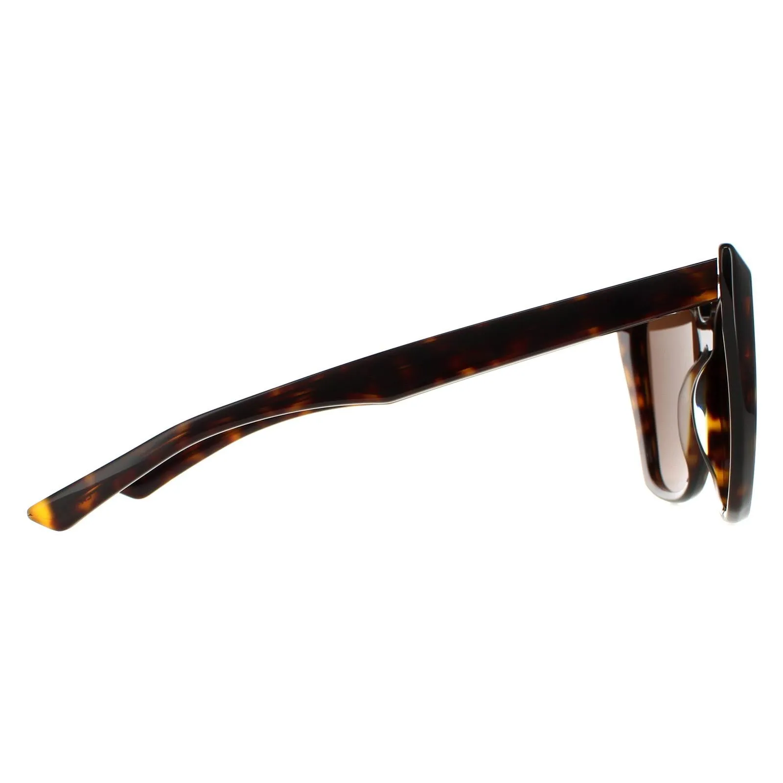 Balenciaga Sunglasses BB0046S 002 Havana Brown