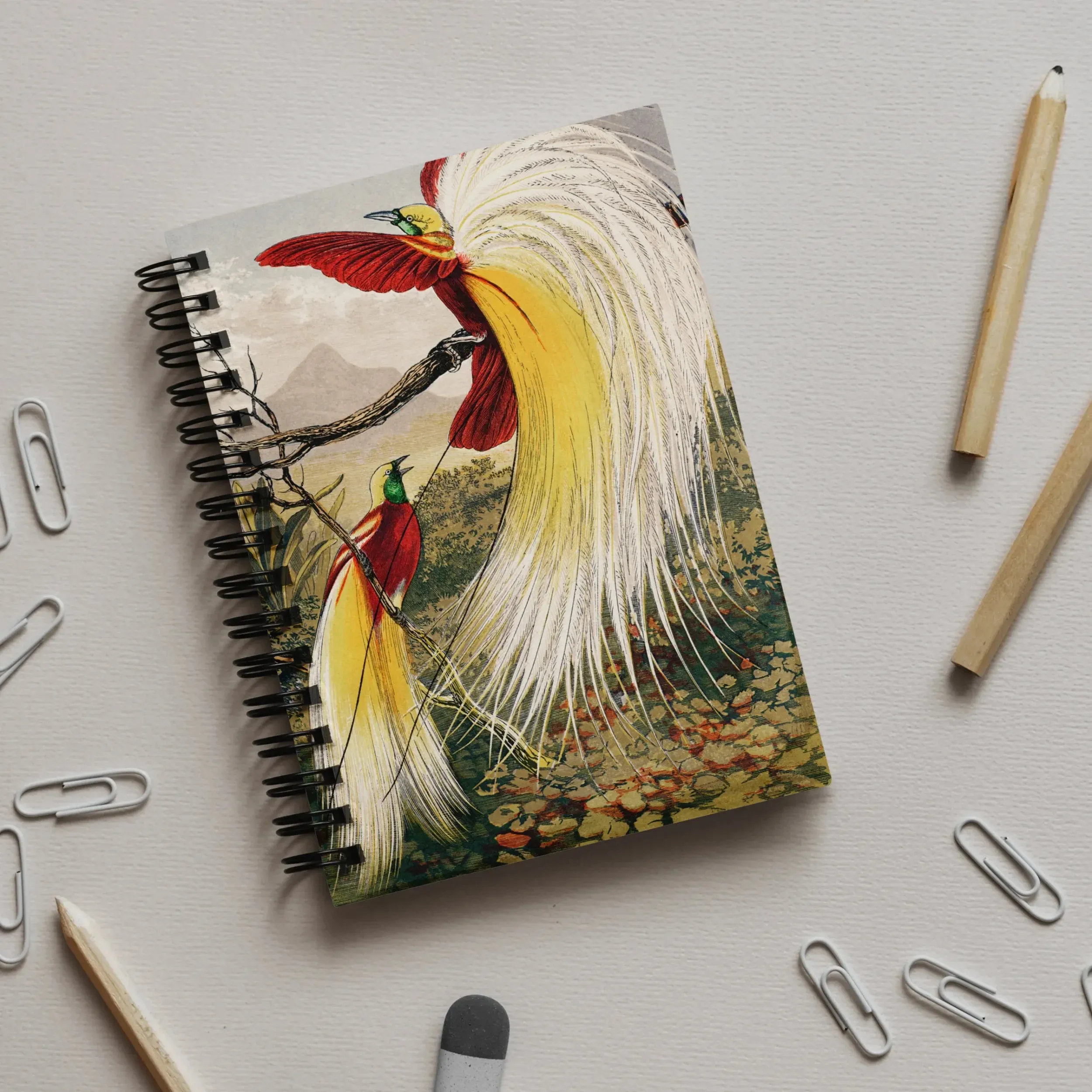 Bird of Paradise - Benjamin Fawcett Notebook