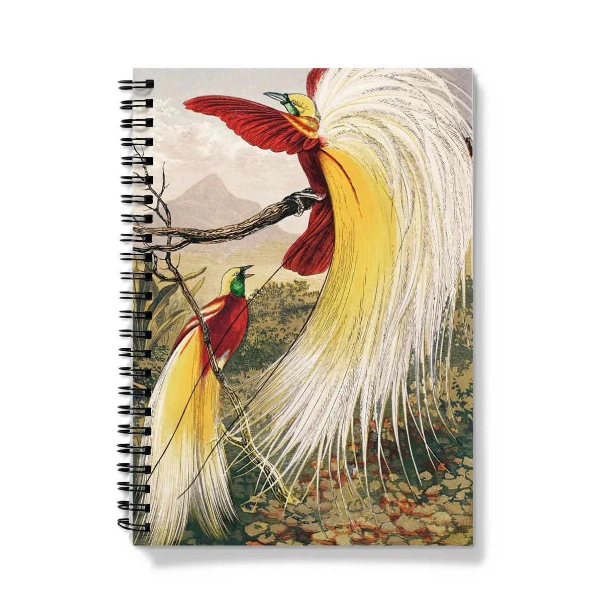 Bird of Paradise - Benjamin Fawcett Notebook