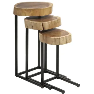 Newton 3-Piece Wood and Iron Nesting Tables