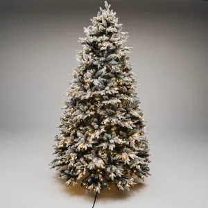 Noble Fir Deluxe Christmas Tree